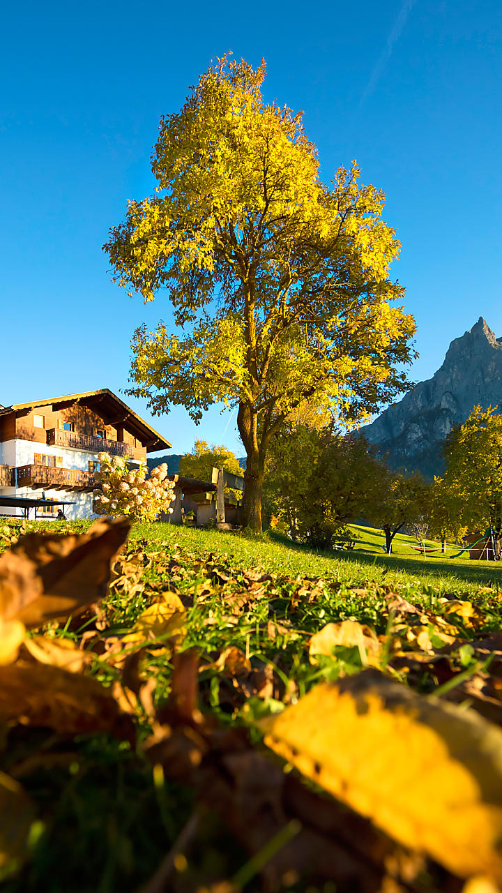 Agriturismo in Alto Adige – masi con appartamenti